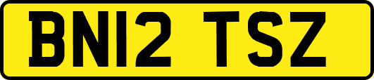 BN12TSZ