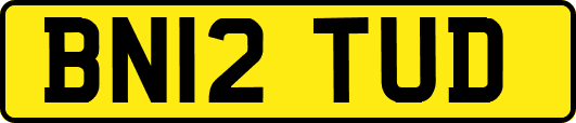 BN12TUD