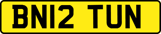 BN12TUN