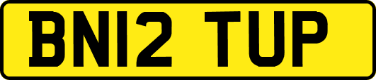 BN12TUP