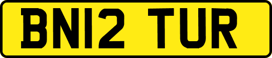 BN12TUR