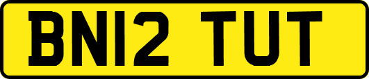 BN12TUT