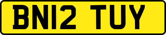 BN12TUY