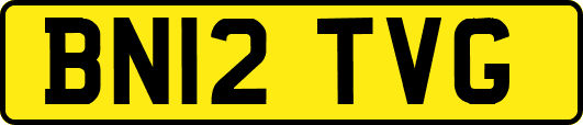 BN12TVG