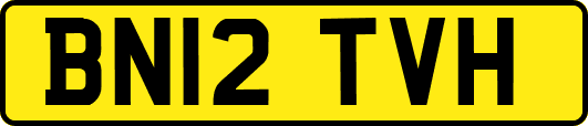 BN12TVH