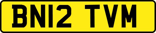 BN12TVM