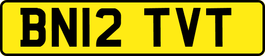 BN12TVT