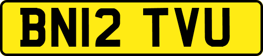 BN12TVU