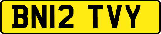 BN12TVY