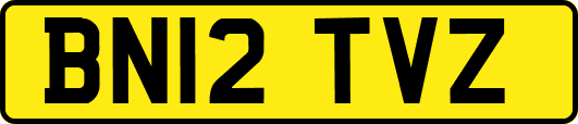 BN12TVZ