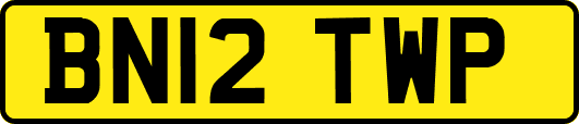 BN12TWP