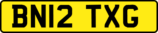 BN12TXG