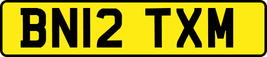 BN12TXM
