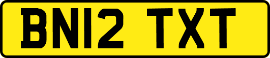 BN12TXT