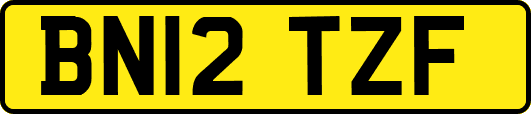 BN12TZF