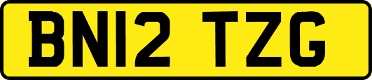 BN12TZG