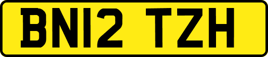 BN12TZH