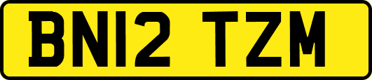 BN12TZM