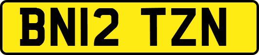 BN12TZN