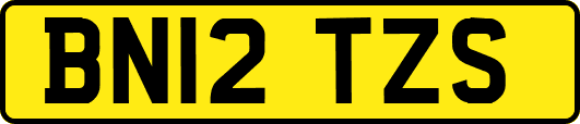 BN12TZS