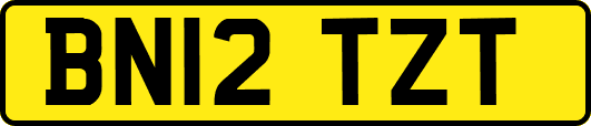 BN12TZT