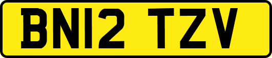 BN12TZV
