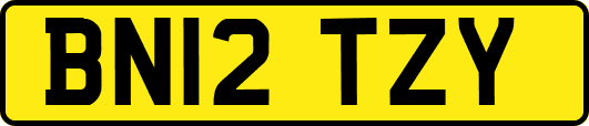 BN12TZY