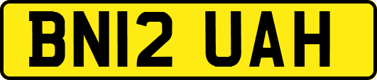 BN12UAH