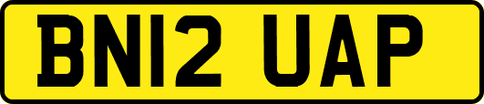 BN12UAP