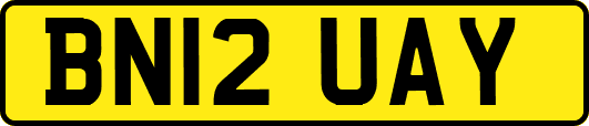 BN12UAY