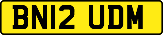 BN12UDM