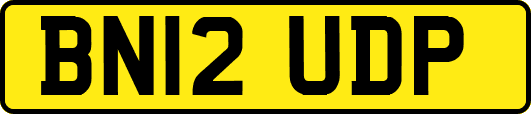 BN12UDP