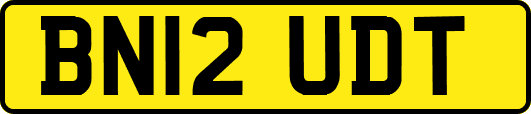 BN12UDT