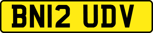 BN12UDV