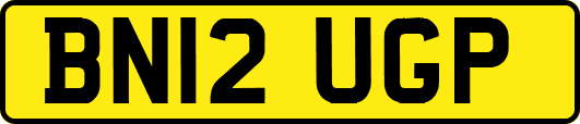 BN12UGP