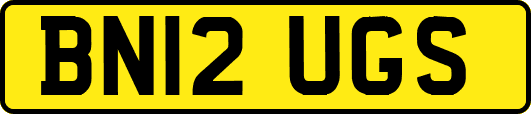 BN12UGS