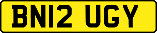 BN12UGY
