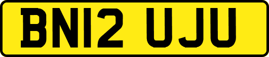 BN12UJU
