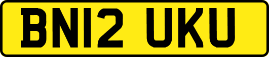BN12UKU
