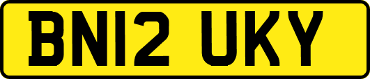 BN12UKY