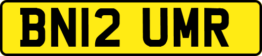BN12UMR