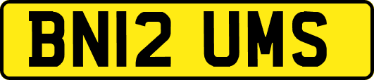 BN12UMS