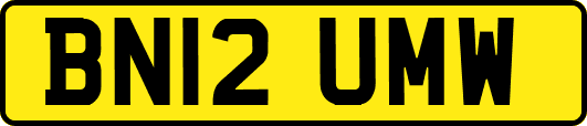 BN12UMW