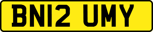 BN12UMY