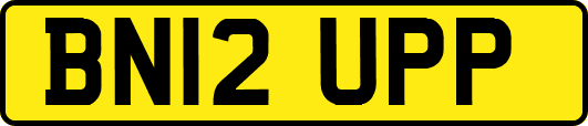 BN12UPP