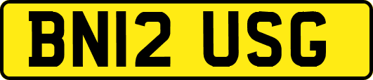 BN12USG