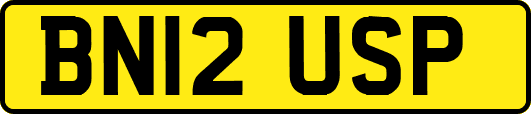BN12USP