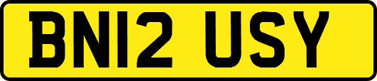 BN12USY
