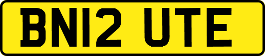 BN12UTE