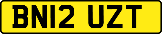 BN12UZT